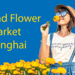 A Visit to the Bird and Flower Market Shanghai Thumbnail