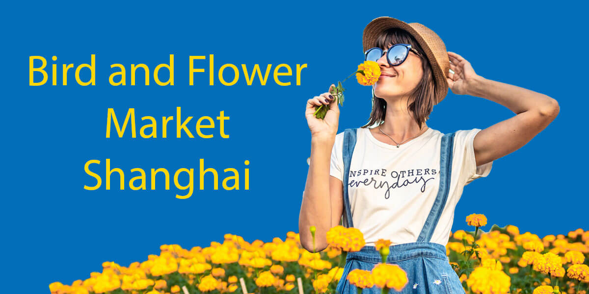 Bird and Flower Market Shanghai The Ultimate Guide with LTL Shanghai