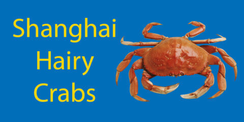 Shanghai Hairy Crabs - A Must-Try Local Delicacy Thumbnail