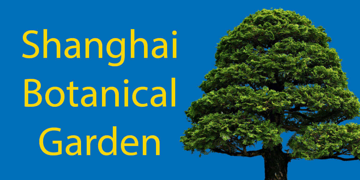 Shanghai Botanical Garden