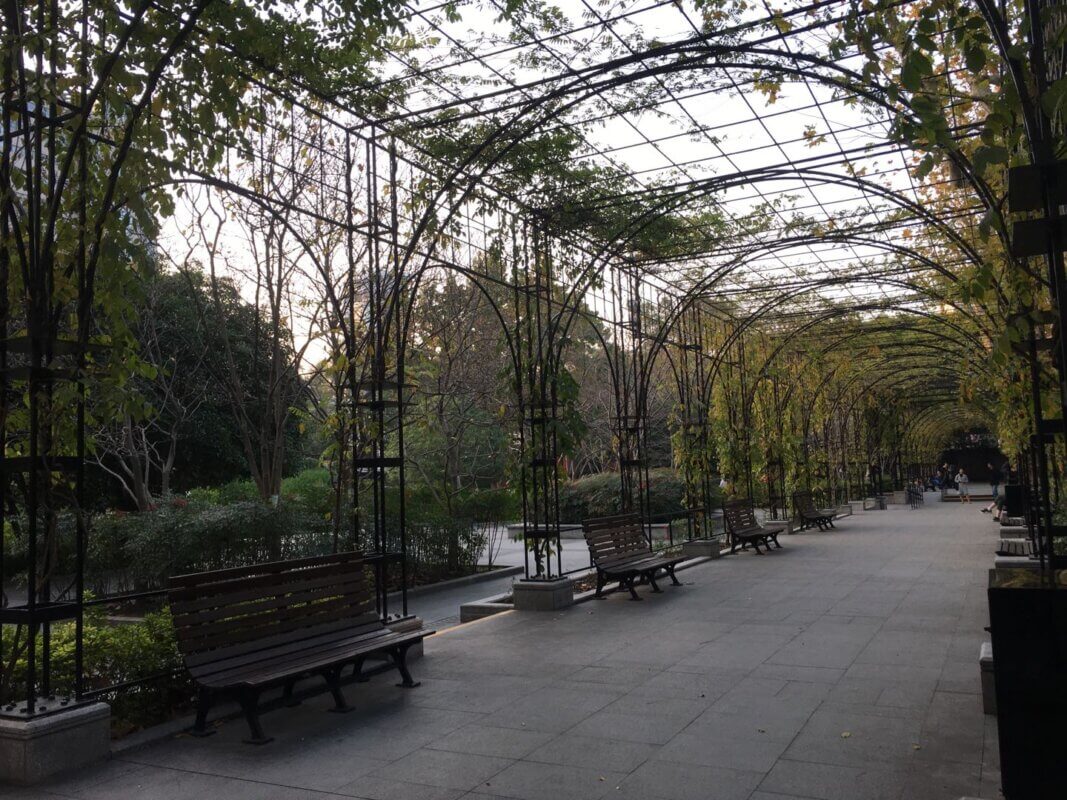 Fuxing Park - This archway is covered in leaves and vines