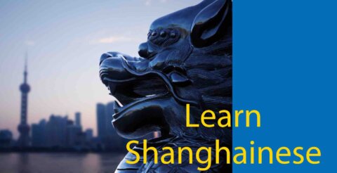 Learning Shanghainese : A Beginner's Story 📖 Thumbnail