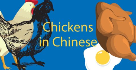 Chicken in Chinese 🐔 Types, Foods, Insults You Never Knew! Thumbnail