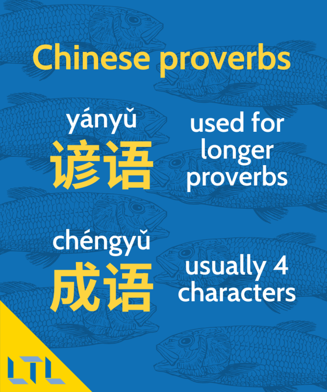 Chinese proverbs