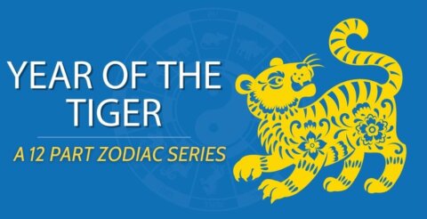 Chinese Zodiacs || Year of the Tiger (A Complete Guide) Thumbnail