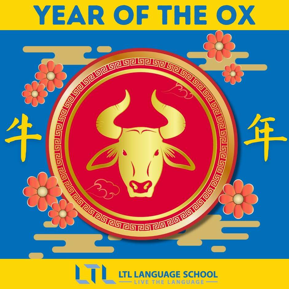 Chinese Zodiacs || Year of the Ox 🐂 (A Complete Guide) | LTL Shanghai