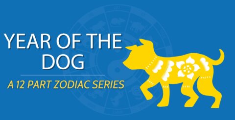 Chinese Zodiacs: Year of the Dog 🐕 Pawsitive or Ruff Times Ahead? Thumbnail